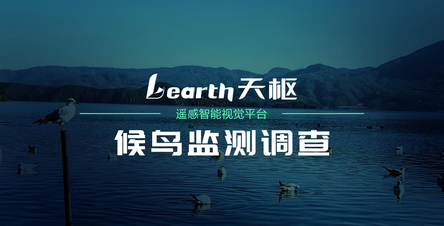 天樞（Learth）第四講：AI助力大范圍候鳥監(jiān)測(cè)調(diào)查