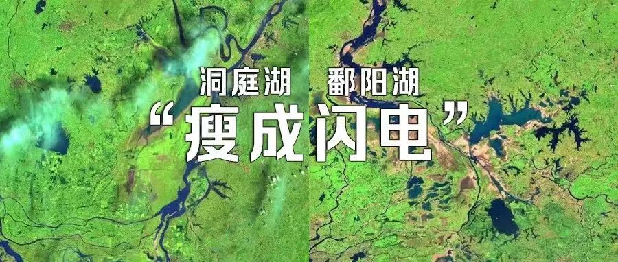 衛(wèi)星影像下的洞庭湖、鄱陽湖已“瘦成閃電”！