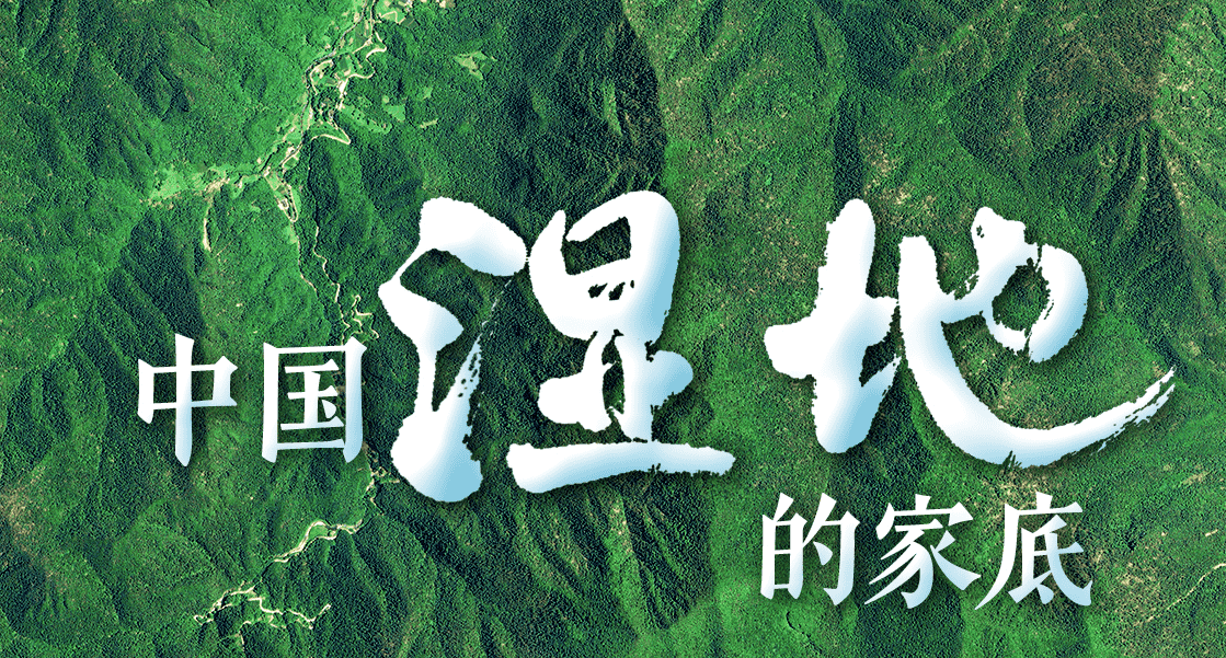 衛(wèi)星“瞰”濕地，顏值與實(shí)力并存